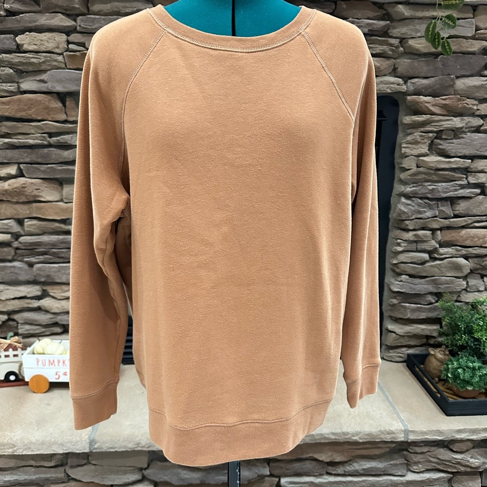 American Eagle Outfitters Tan Sweatshirt